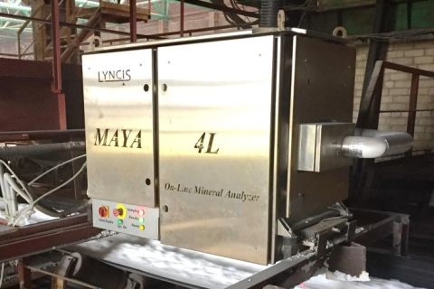LYNCIS MAYA